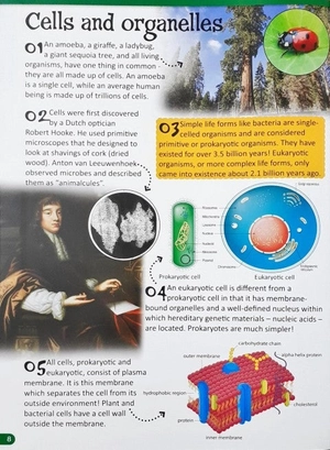 500 fantastic facts - biology - Ảnh 6