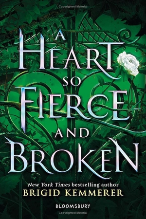 a heart so fierce and broken - Ảnh 2
