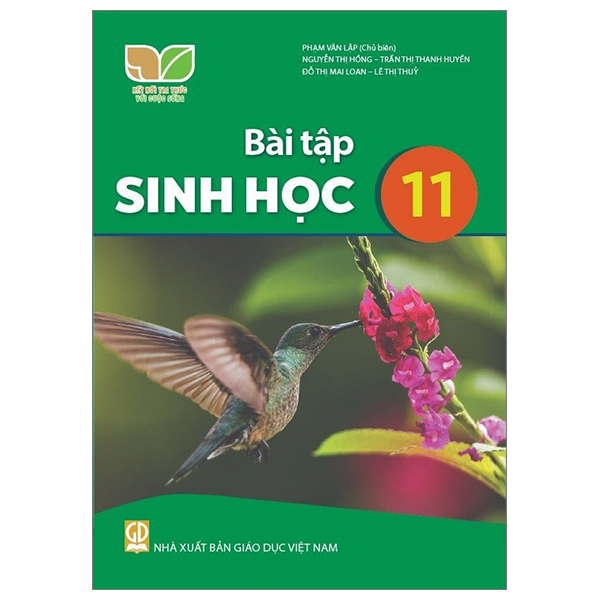 Bài Tập Địa Lí 11 (Kết Nối) (Chuẩn) - Ảnh 25
