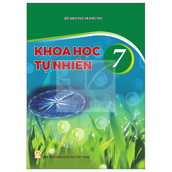 Bài Tập Lịch Sử Và Địa Lí 7 - Phần Lịch Sử (Kết Nối) (Phiên Bản 2026) - Ảnh 23