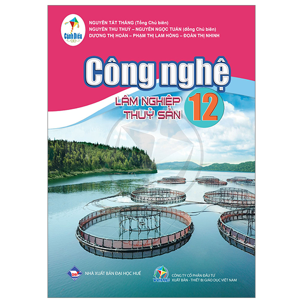 Bài Tập Tin Học 12 - Tin Học Ứng Dụng (Cánh Diều) (Chuẩn) - Ảnh 40