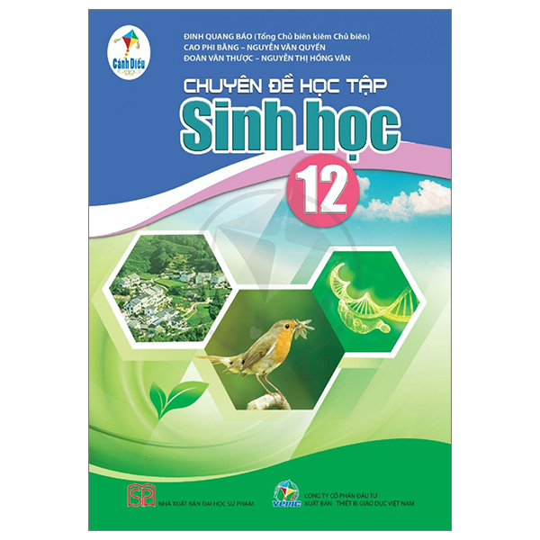 Bài Tập Tin Học 12 - Tin Học Ứng Dụng (Cánh Diều) (Chuẩn) - Ảnh 5