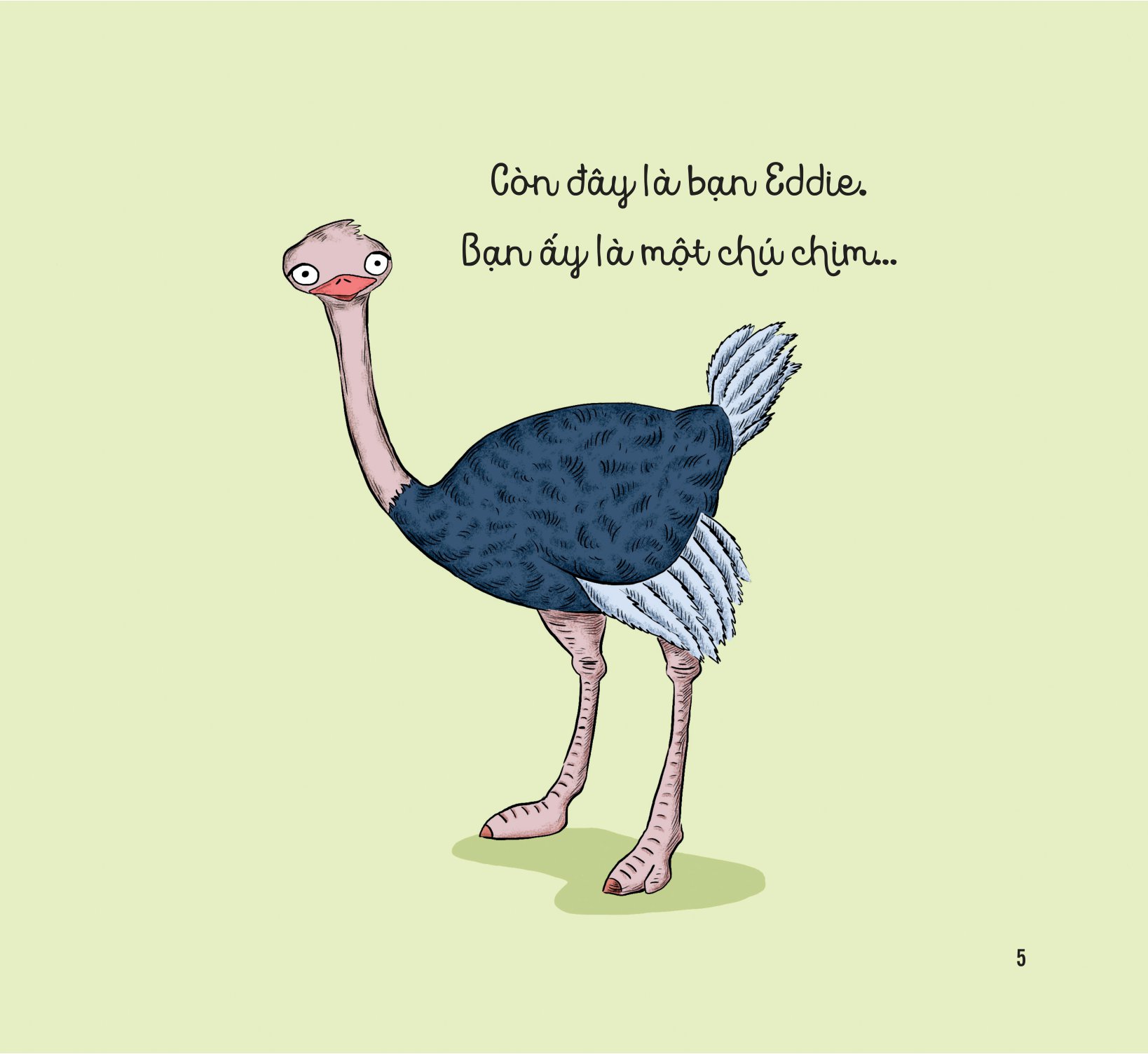 bé học điều hay qua câu chuyện nhỏ - gấu con tinh nghịch - đà điểu ơi, bay lên nào! - Ảnh 6