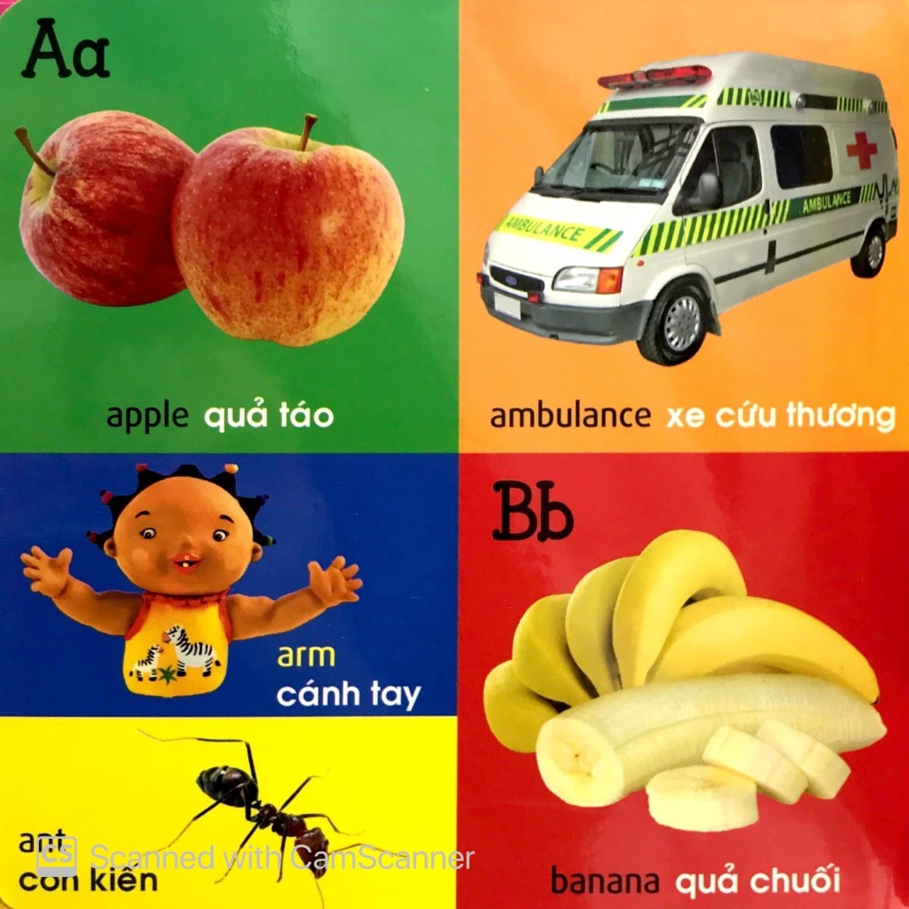 Bộ 101 First Words - Alphabet - 101 Từ Đầu Tiên - Bảng Chữ Cái - Bìa Cứng (Tái Bản 2026) - Ảnh 5