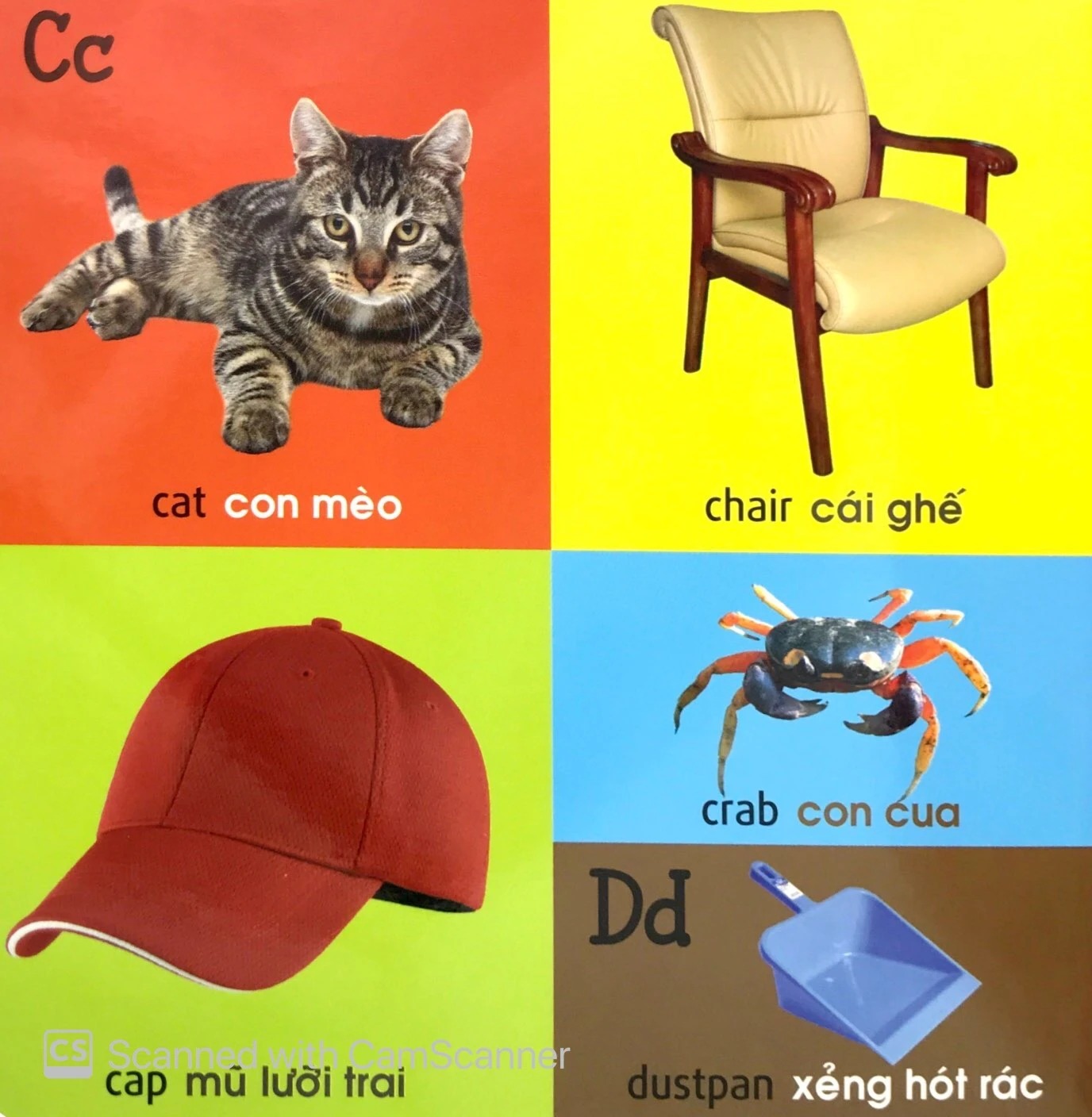 Bộ 101 First Words - Alphabet - 101 Từ Đầu Tiên - Bảng Chữ Cái - Bìa Cứng (Tái Bản 2026) - Ảnh 7