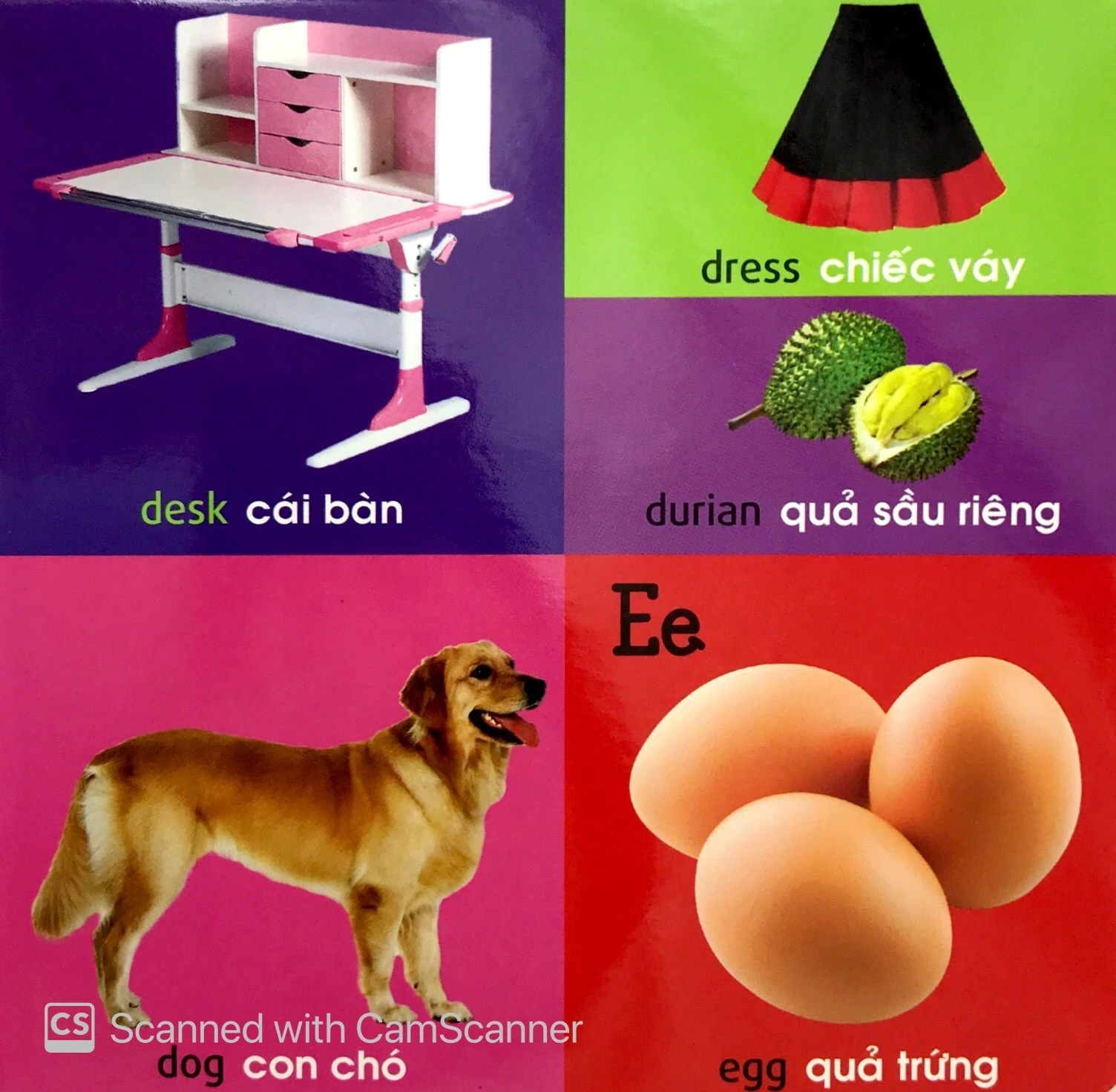 Bộ 101 First Words - Alphabet - 101 Từ Đầu Tiên - Bảng Chữ Cái - Bìa Cứng (Tái Bản 2026) - Ảnh 8