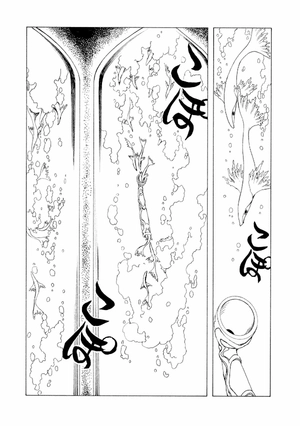 bộ clamp premium collection ×××holic 17 - Ảnh 15