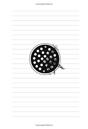 bộ diary of a wimpy kid 14: wrecking ball - Ảnh 4
