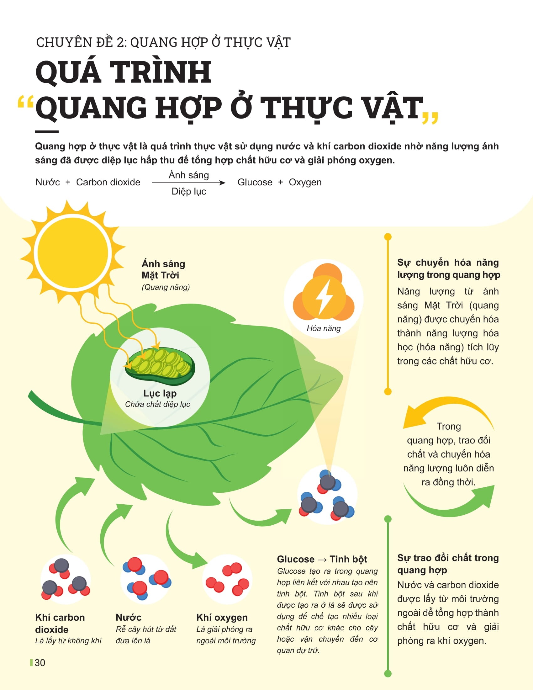 Bo
Dot Pha Tu Duy Khoa Hoc Tu Nhien 7 - Tap 1 (Tai Ban 2025) - Ảnh 9