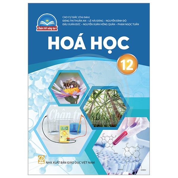 Bộ Giáo Dục Kinh Tế Và Pháp Luật 12 (Chân Trời) (Chuẩn) - Ảnh 29