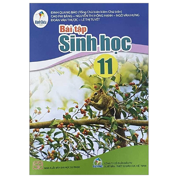 Bo
Giao Duc Quoc Phong Va An Ninh 11 (Canh Dieu) (Chuan) - Ảnh 17