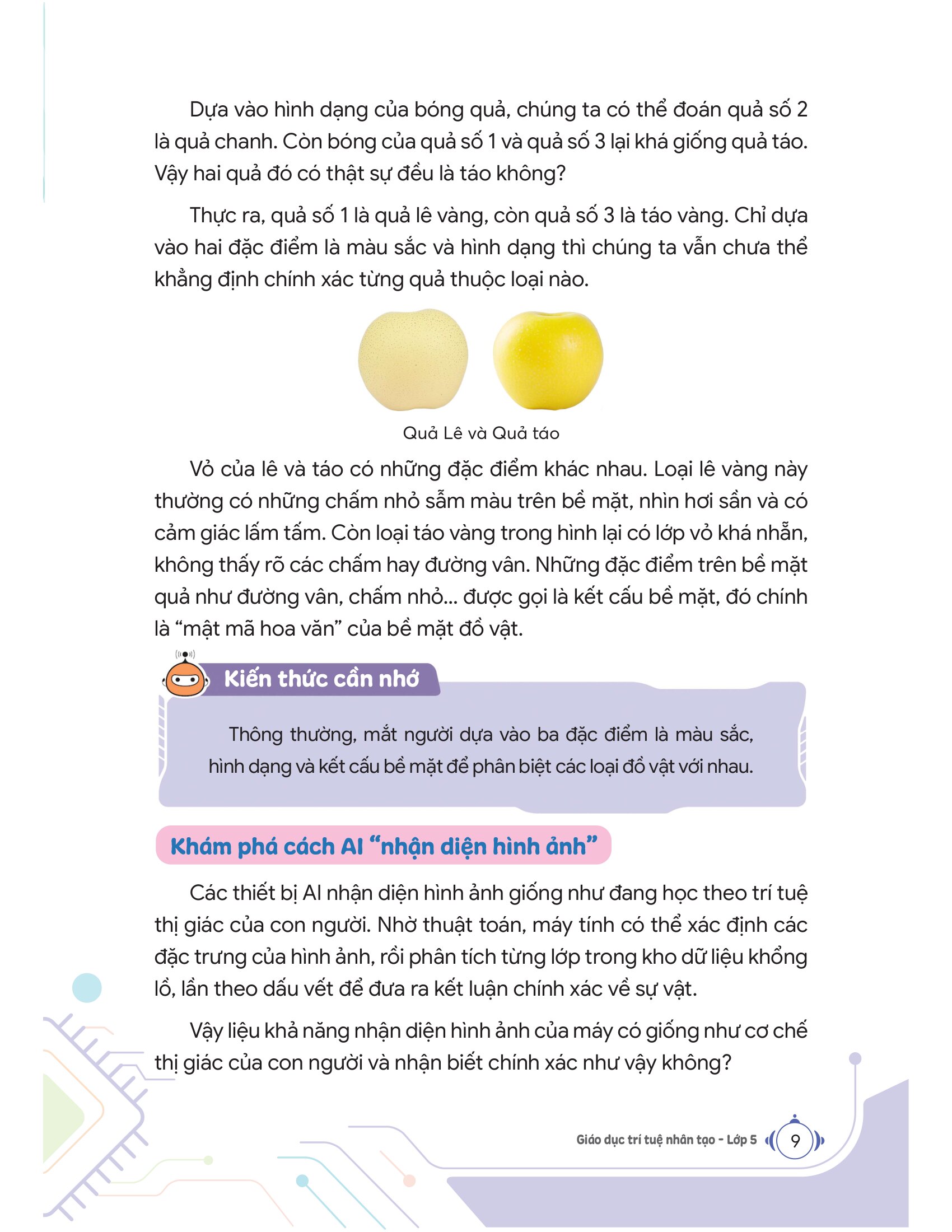 Bộ Giáo Dục Trí Tuệ Nhân Tạo - Lớp 5 - Ảnh 8