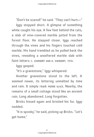 bộ iggy peck and the mysterious mansion: the questioneers book #3 - Ảnh 7