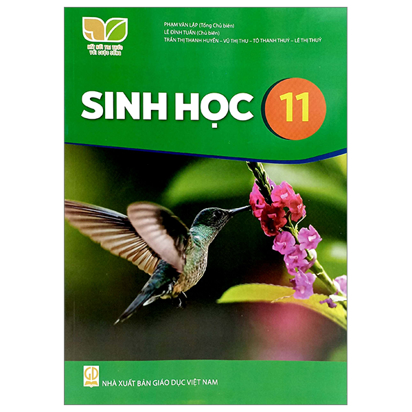 Bộ Mĩ Thuật 11 - Lí Luận Và Lịch Sử Mĩ Thuật (Kết Nối) (Chuẩn) - Ảnh 37