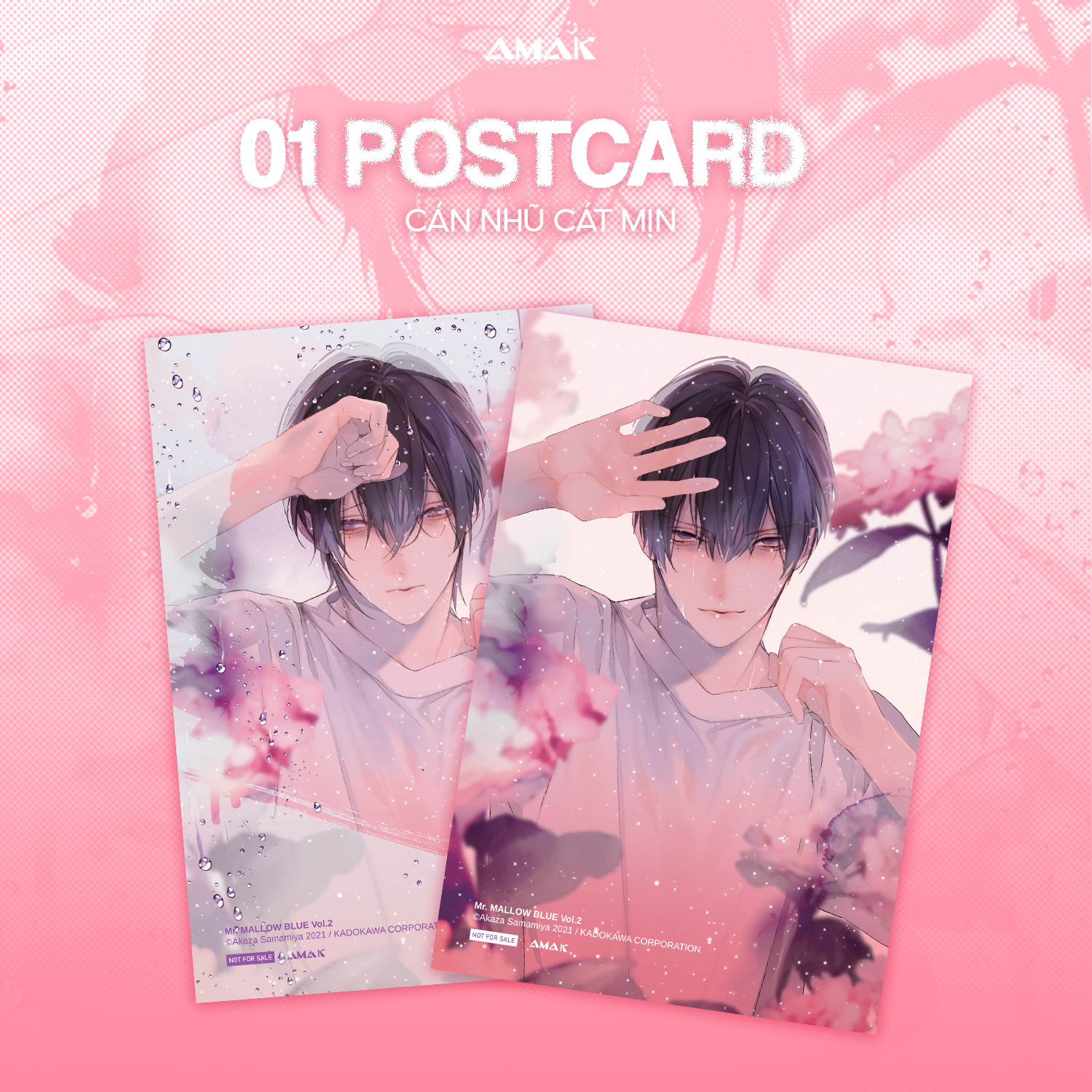 Bộ Mr. Mallow Blue - Tập 2 - Tặng Kèm Postcard Cán Nhũ Cát Mịn - Ảnh 3