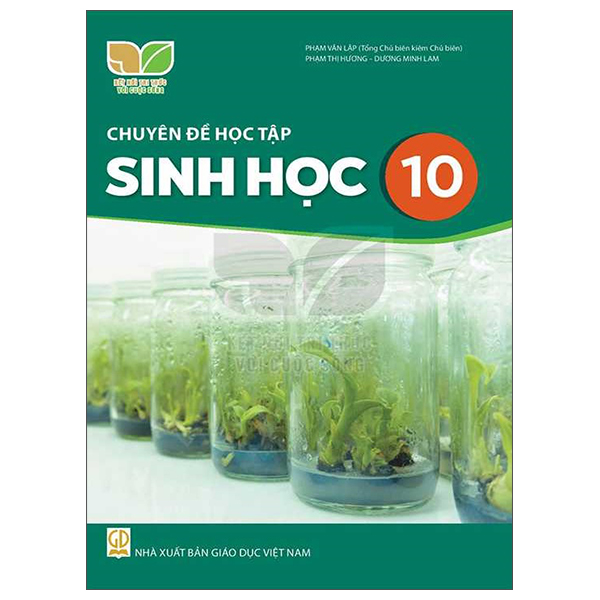 Bo
Ngu Van 10 - Tap 2 (Ket Noi Tri Thuc) (Chuan) - Ảnh 3