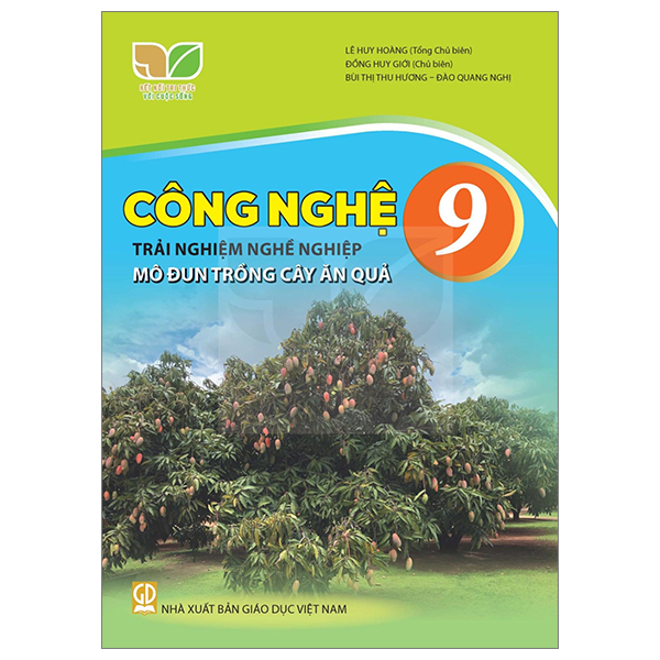 Bộ Ngữ Văn 9 - Tập 1 (Chân Trời) (Chuẩn) - Ảnh 11