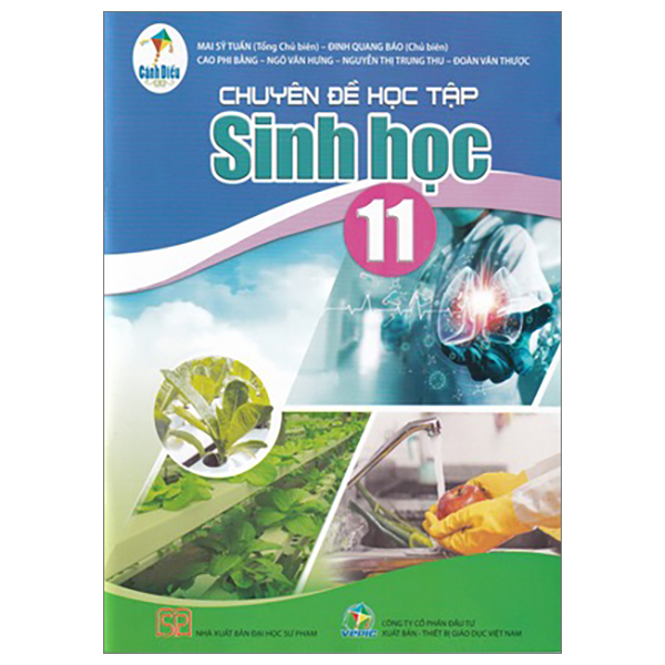 bộ sách giáo khoa lớp 11 - cánh diều - chương trình chuẩn (bài học + bài tập) - Ảnh 31