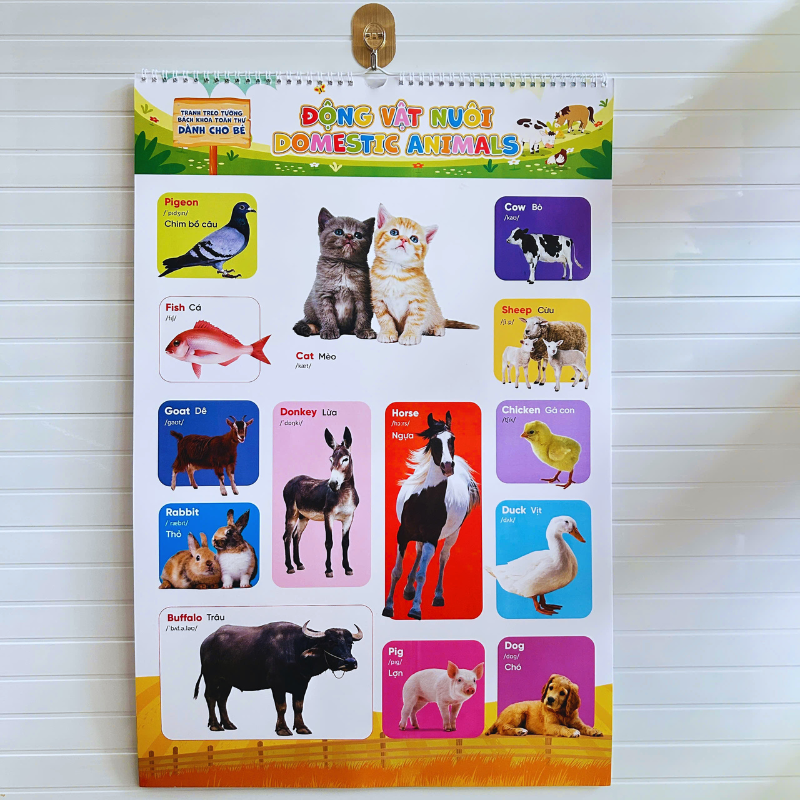 Bộ Tranh Treo Tường Bách Khoa Toàn Thư Dành Cho Bé - Ảnh 4