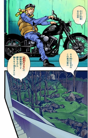 bộ ジョジョリオン 15 - jojorion 15 - Ảnh 13