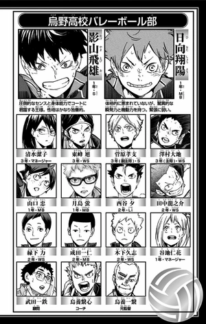 bộ ハイキュー!! 31 - haikyu!! 31 - Ảnh 4