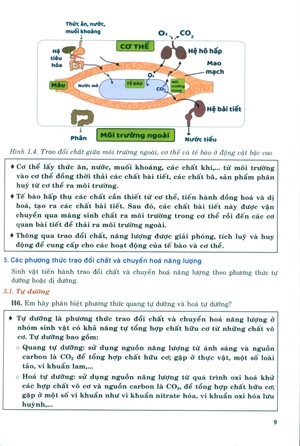 bồi dưỡng năng lực tự học sinh học 11 - Ảnh 9