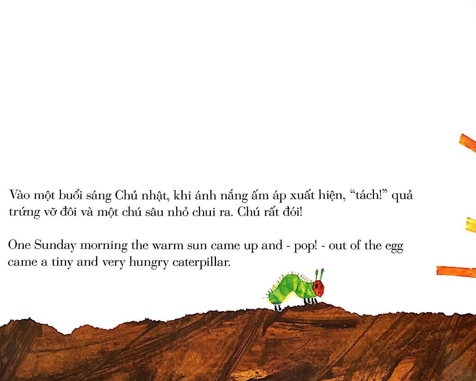 Chú Sâu Háu Ăn - The Very Hungry Caterpillar (Tái Bản) - Ảnh 4