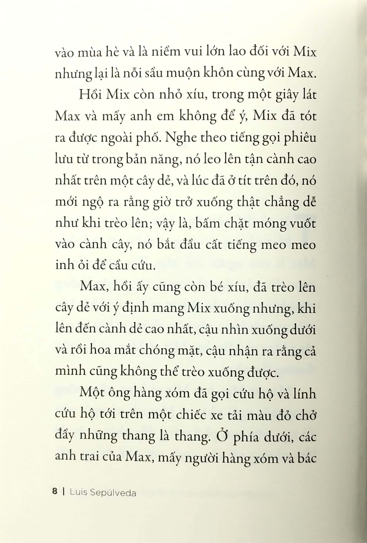 chuyện con mèo và con chuột bạn thân của nó (tái bản 2019) - Ảnh 7