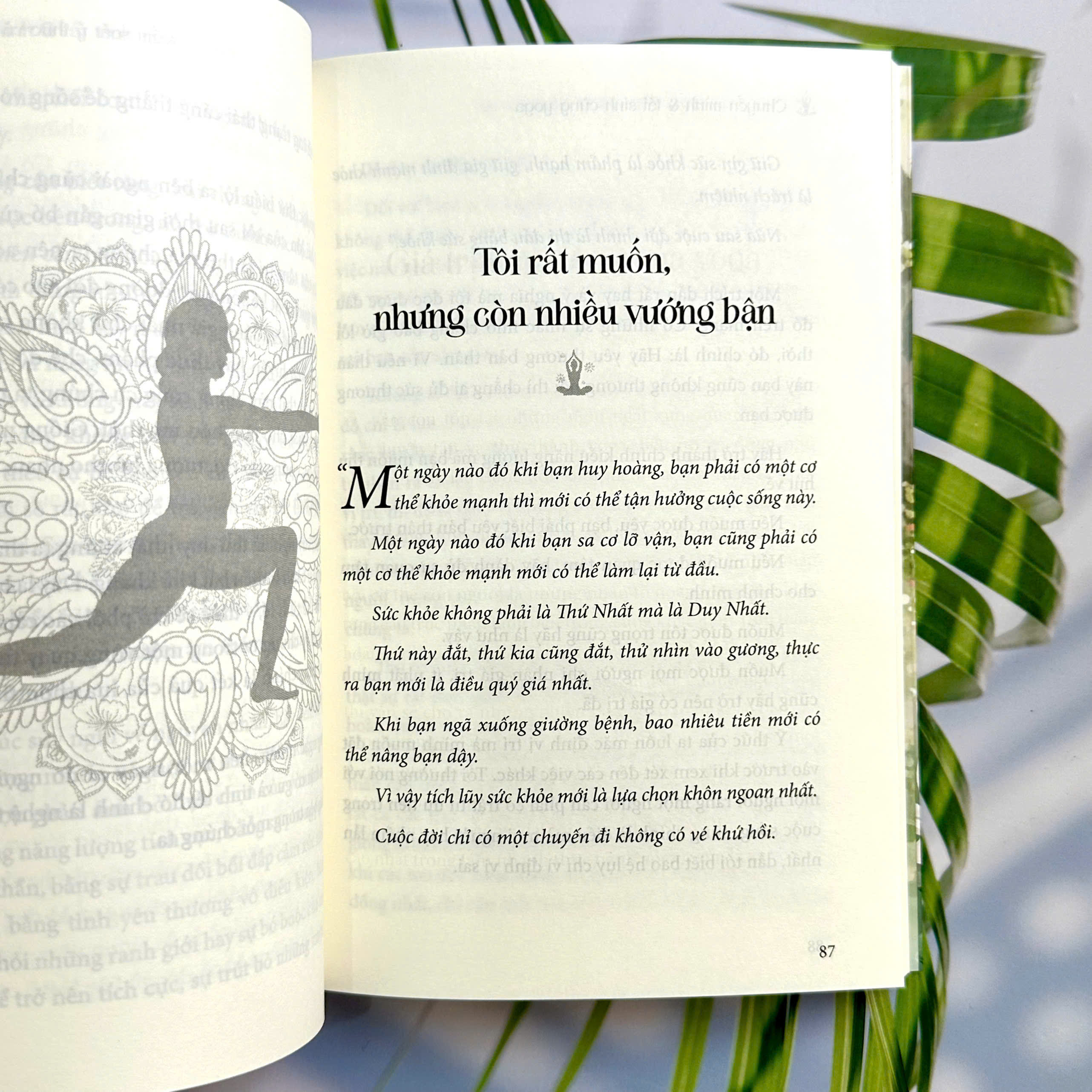 Chuyển Mình Và Tái Sinh Cùng Yoga - Ảnh 5