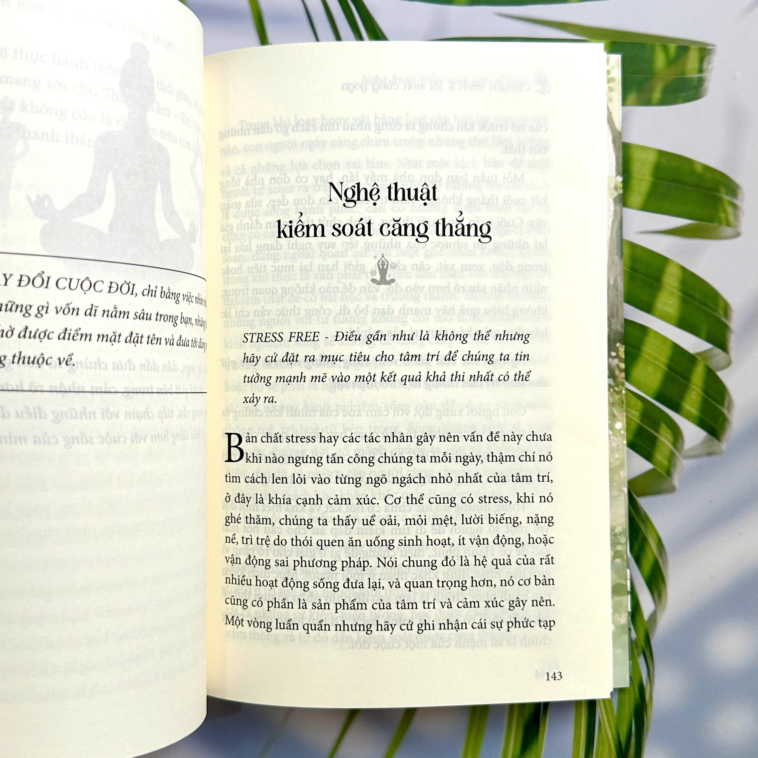 Chuyển Mình Và Tái Sinh Cùng Yoga - Ảnh 6