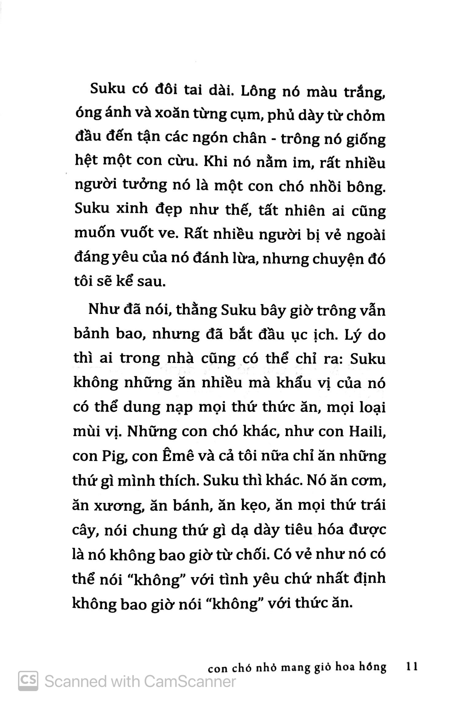 con chó nhỏ mang giỏ hoa hồng (tái bản 2020) - Ảnh 7