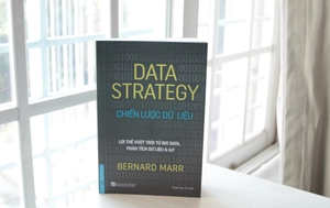 data strategy - chiến lược dữ liệu - Ảnh 3