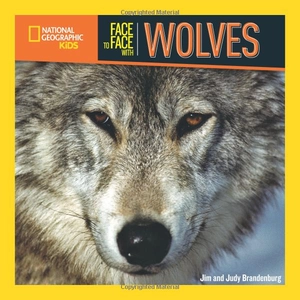 face to face with wolves - Ảnh 2