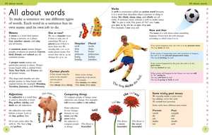 first children's dictionary: a first reference book for children (dk first reference) - Ảnh 3