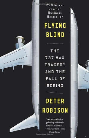 flying blind - Ảnh 2
