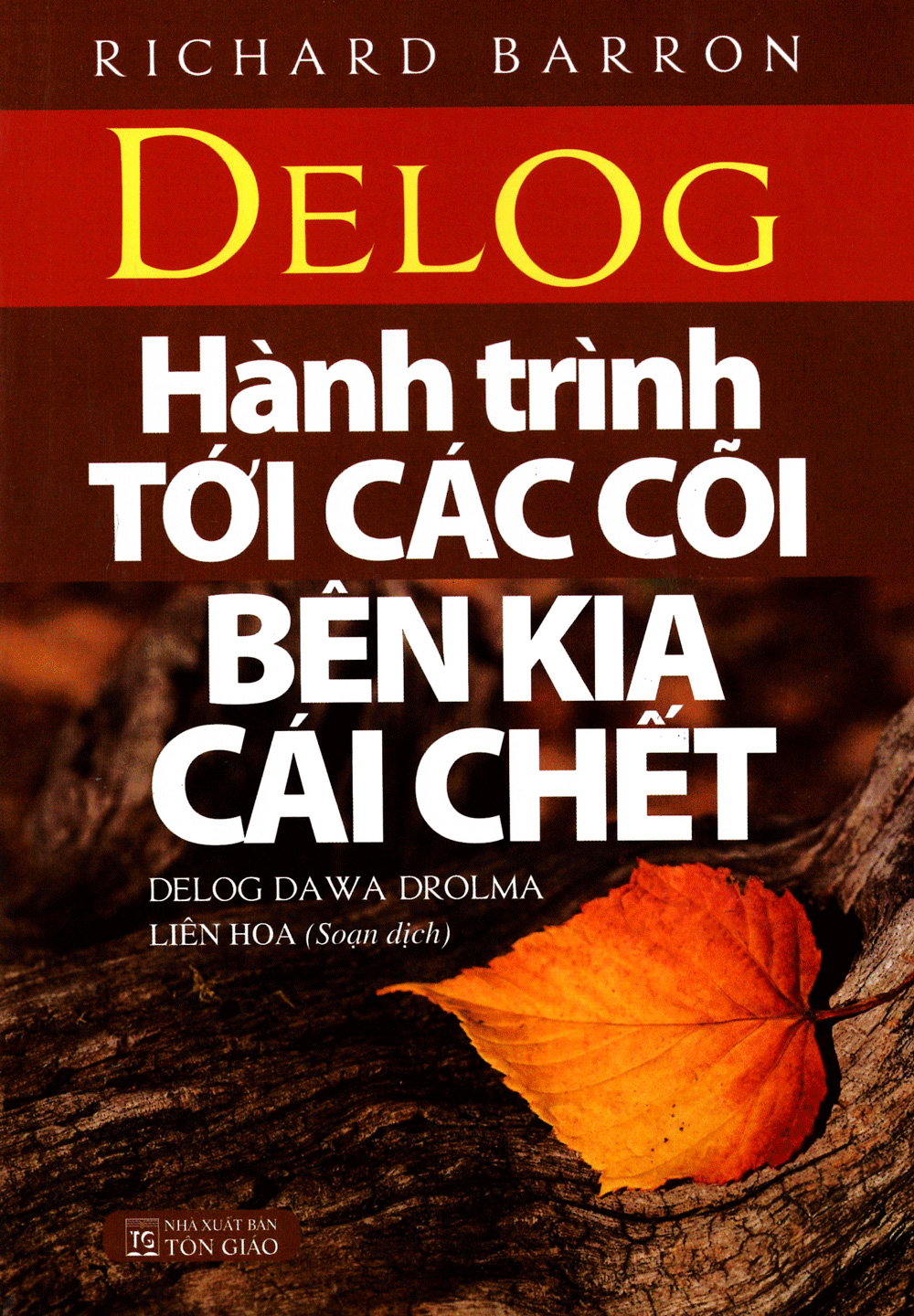 hành trình tới cõi bên kia cái chết - Ảnh 2