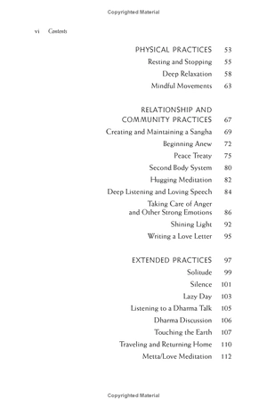 happiness - essential mindfulness practices - Ảnh 26
