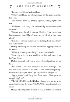 harry potter and the chamber of secrets (hardback) - Ảnh 9