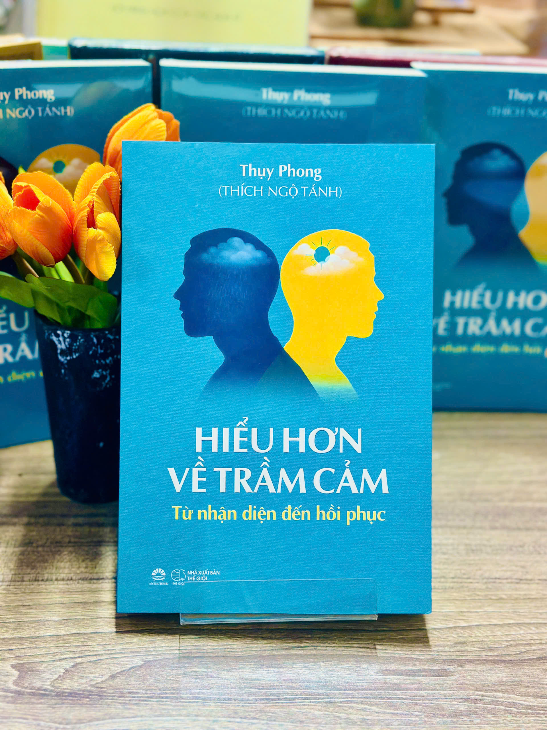 Hiểu Hơn Về Trầm Cảm - Từ Nhận Diện Đến Hồi Phục - Ảnh 3