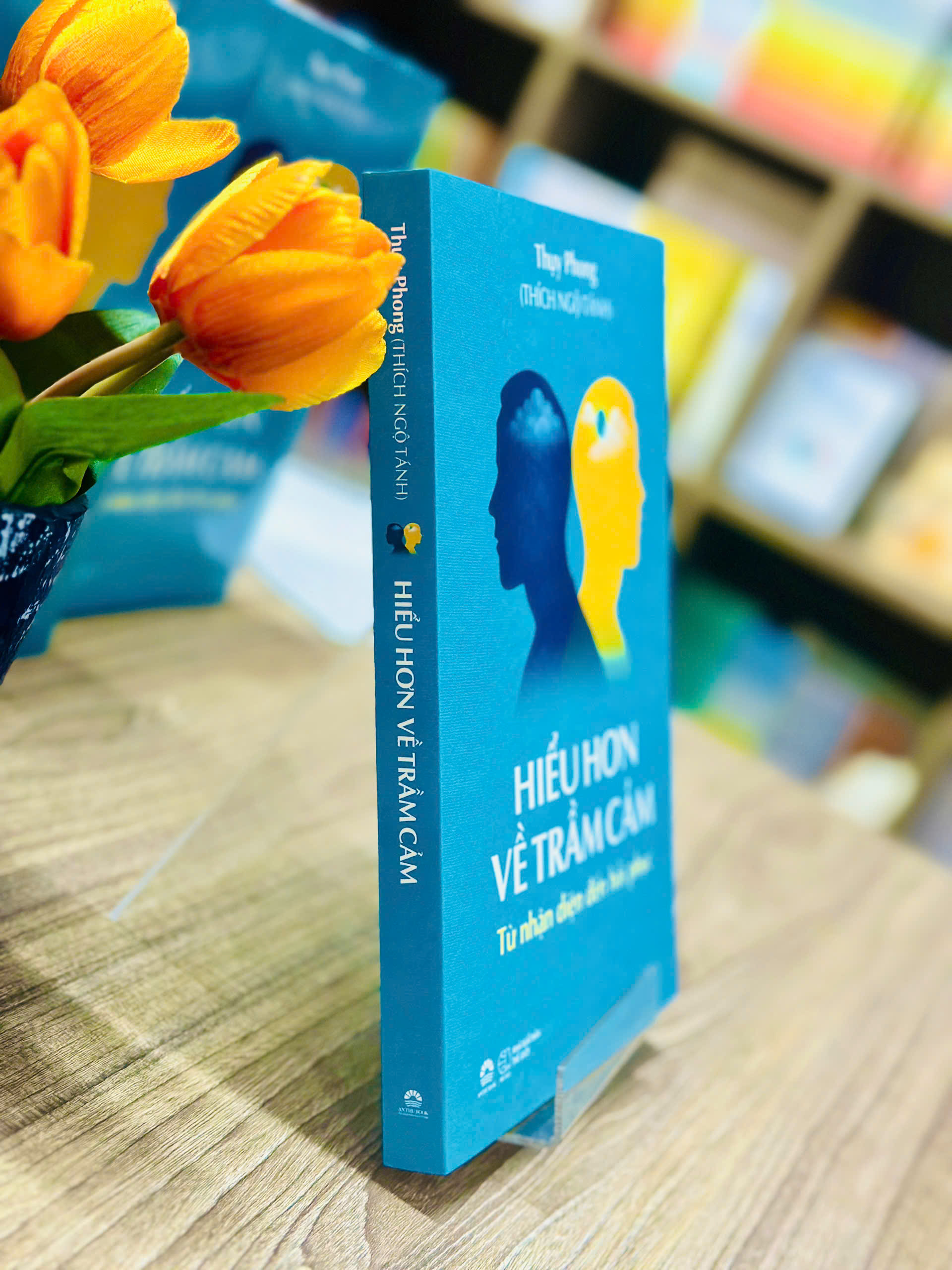 Hiểu Hơn Về Trầm Cảm - Từ Nhận Diện Đến Hồi Phục - Ảnh 4