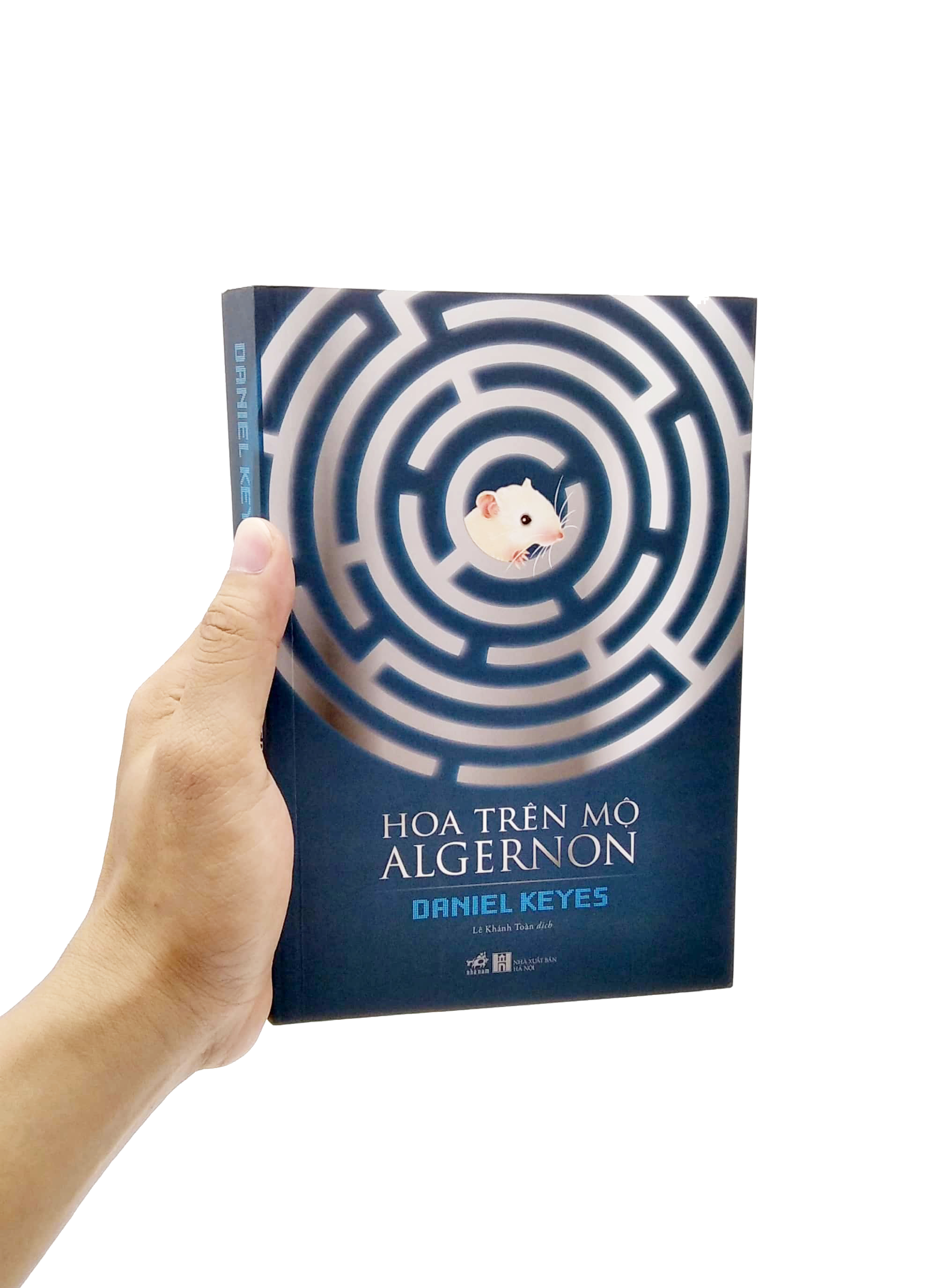 hoa trên mộ algernon - Ảnh 7