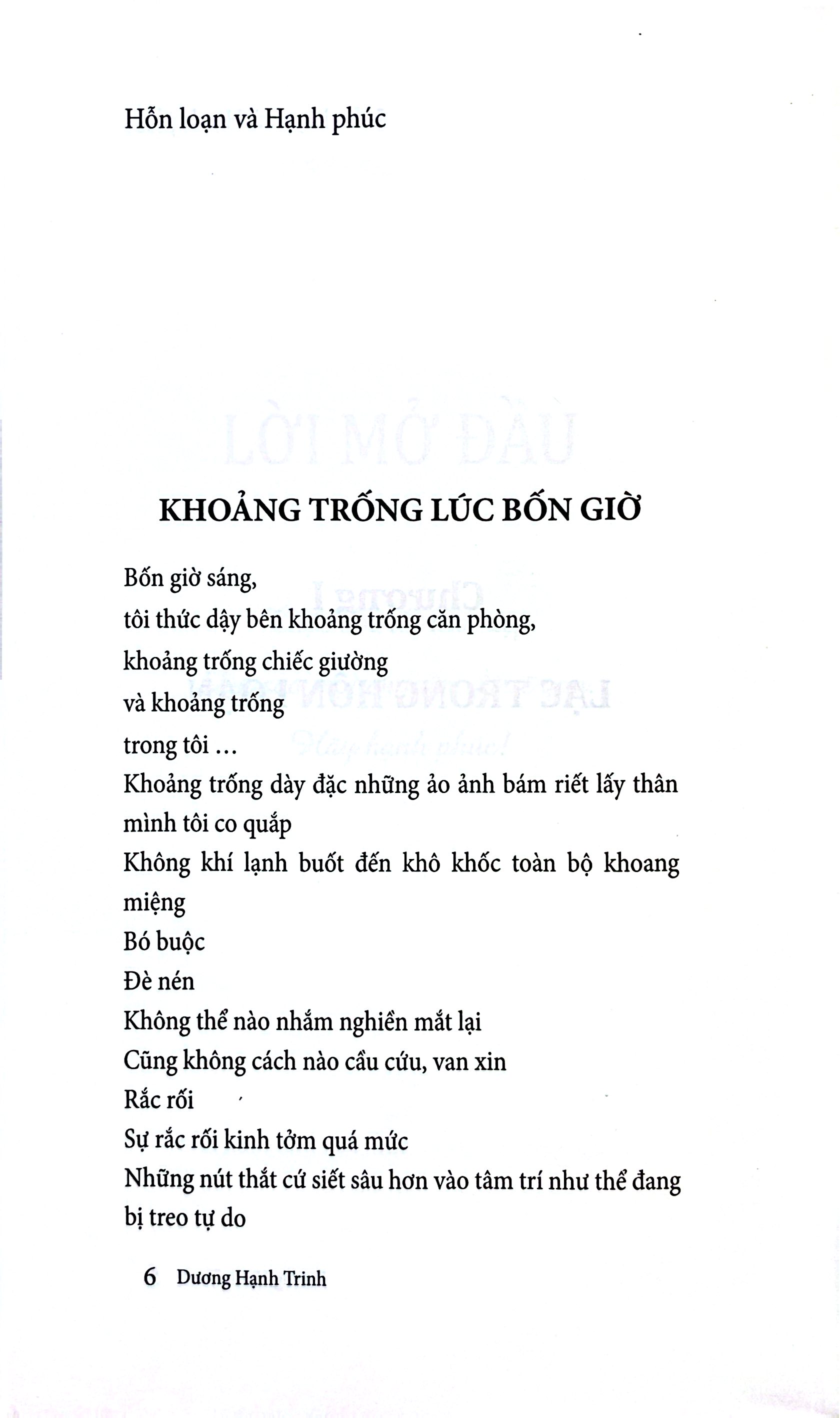 Hỗn Loạn Và Hạnh Phúc - Ảnh 6