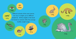 how much does a ladybird weigh? - Ảnh 6