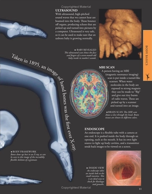 human body a children's encyclopedia - Ảnh 11