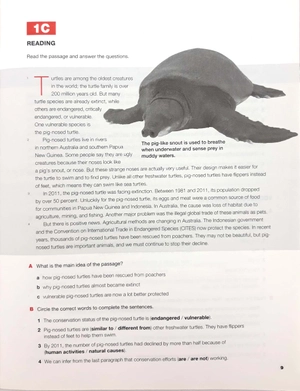 keynote american edition 2: workbook - Ảnh 21