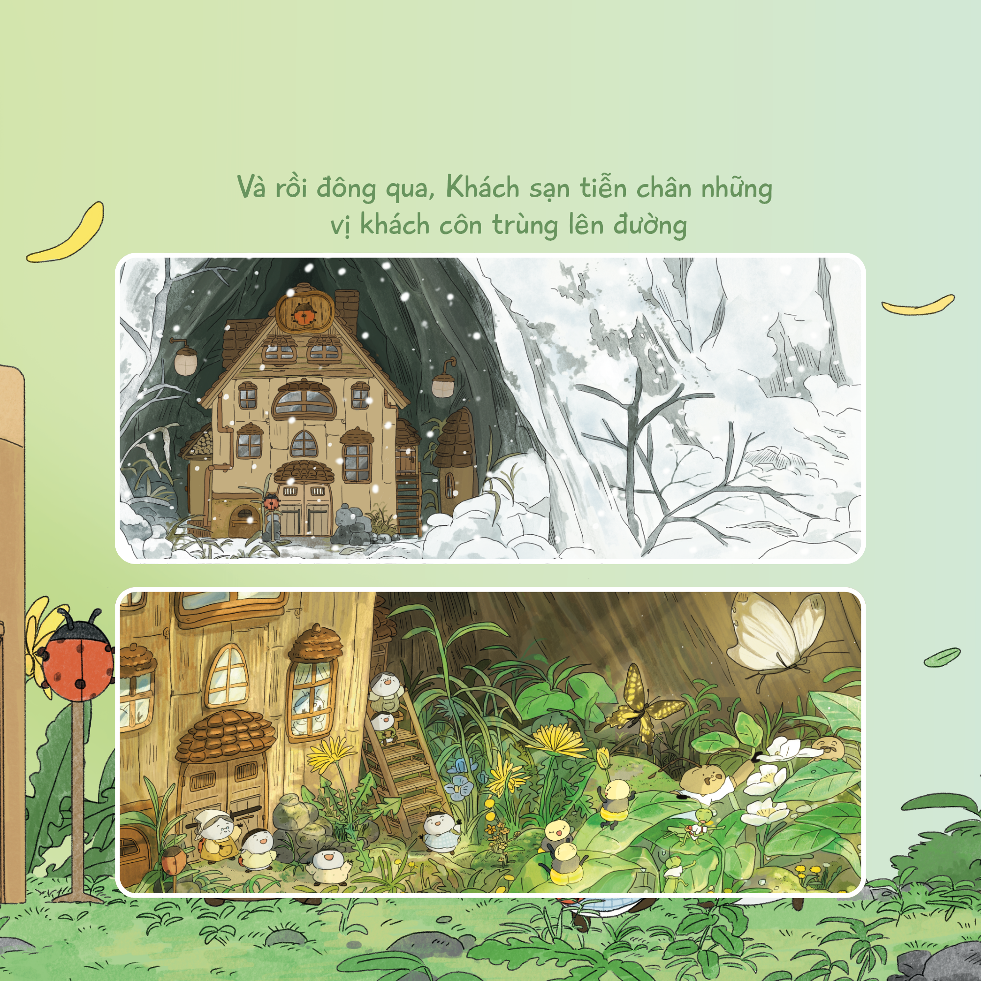 Khách Sạn Côn Trùng - Ảnh 7