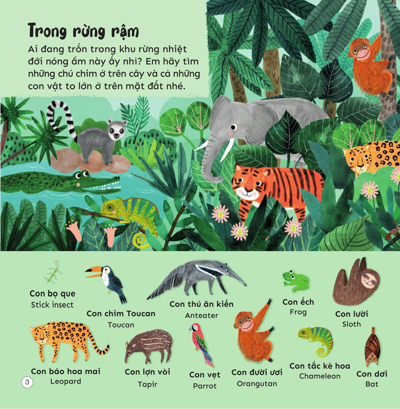 Khám Phá 100++ Loài Động Vật Kỳ Thú - Ảnh 5