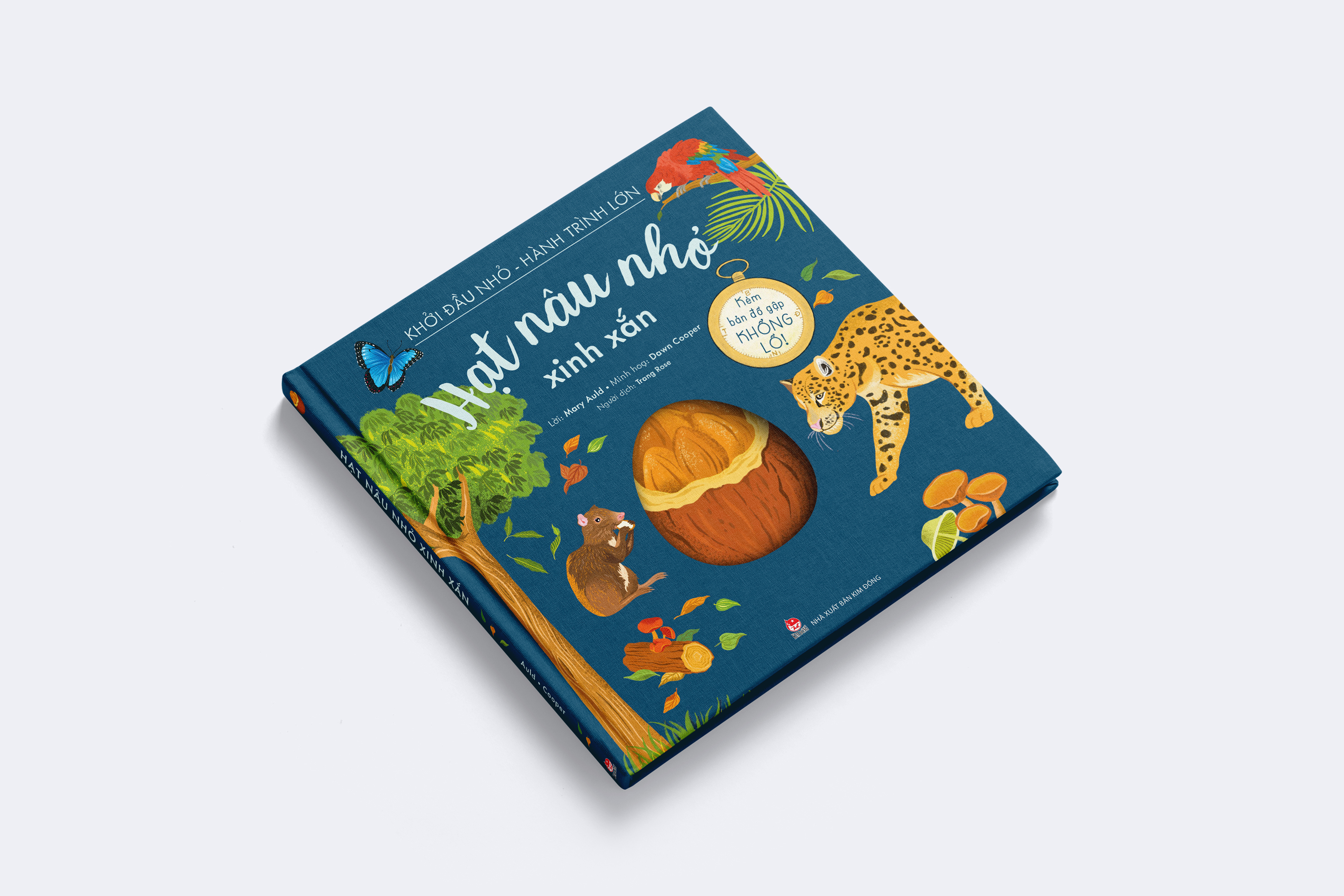 Khởi Đầu Nhỏ - Hành Trình Lớn - Hạt Nâu Nhỏ Xinh Xắn - Bìa Cứng - Ảnh 3