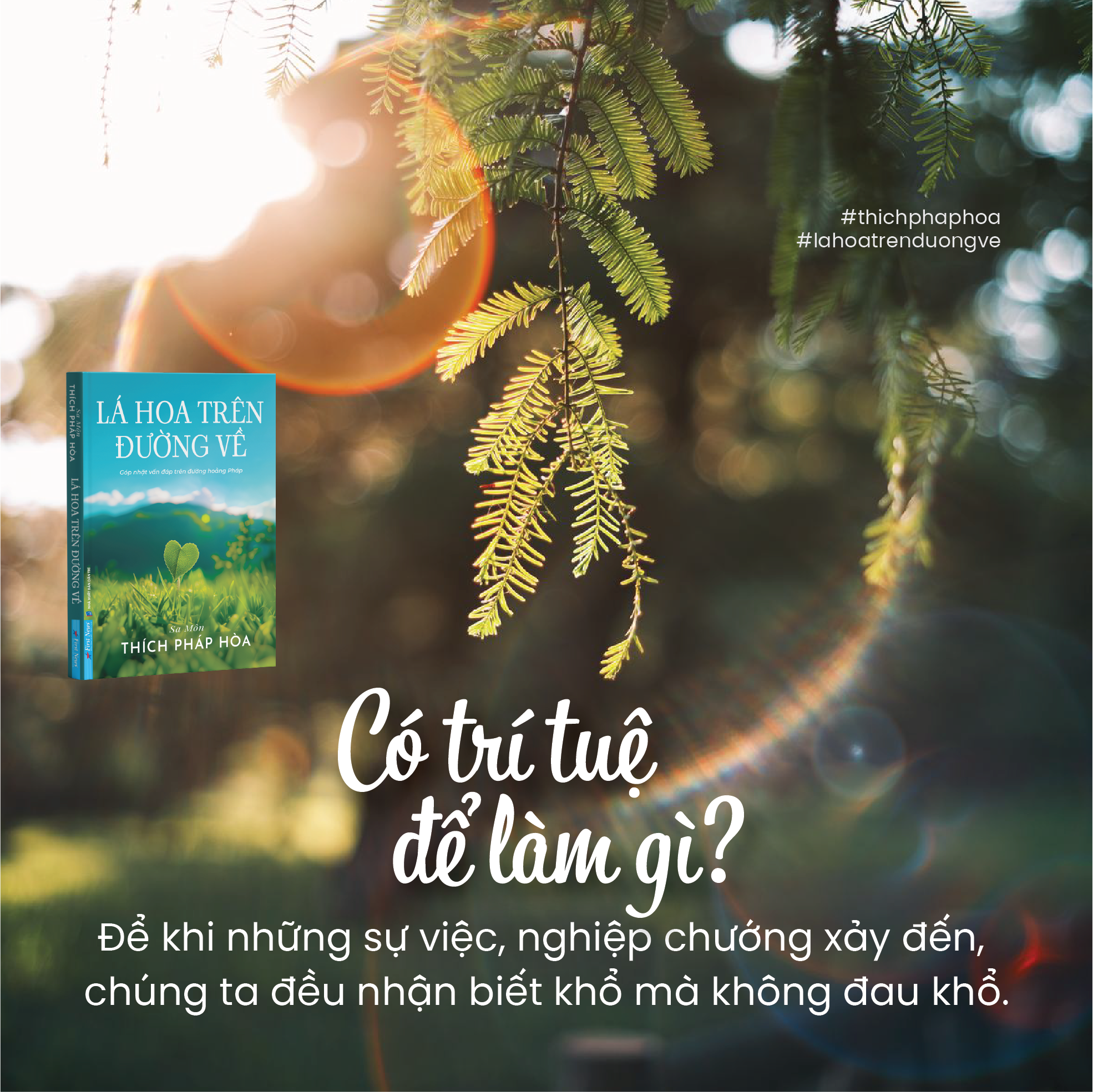 Lá Hoa Trên Đường Về - Tặng Kèm Bookmark Lá Bồ Đề Ngẫu Nhiên + Bookmark + Postcard - Ảnh 7