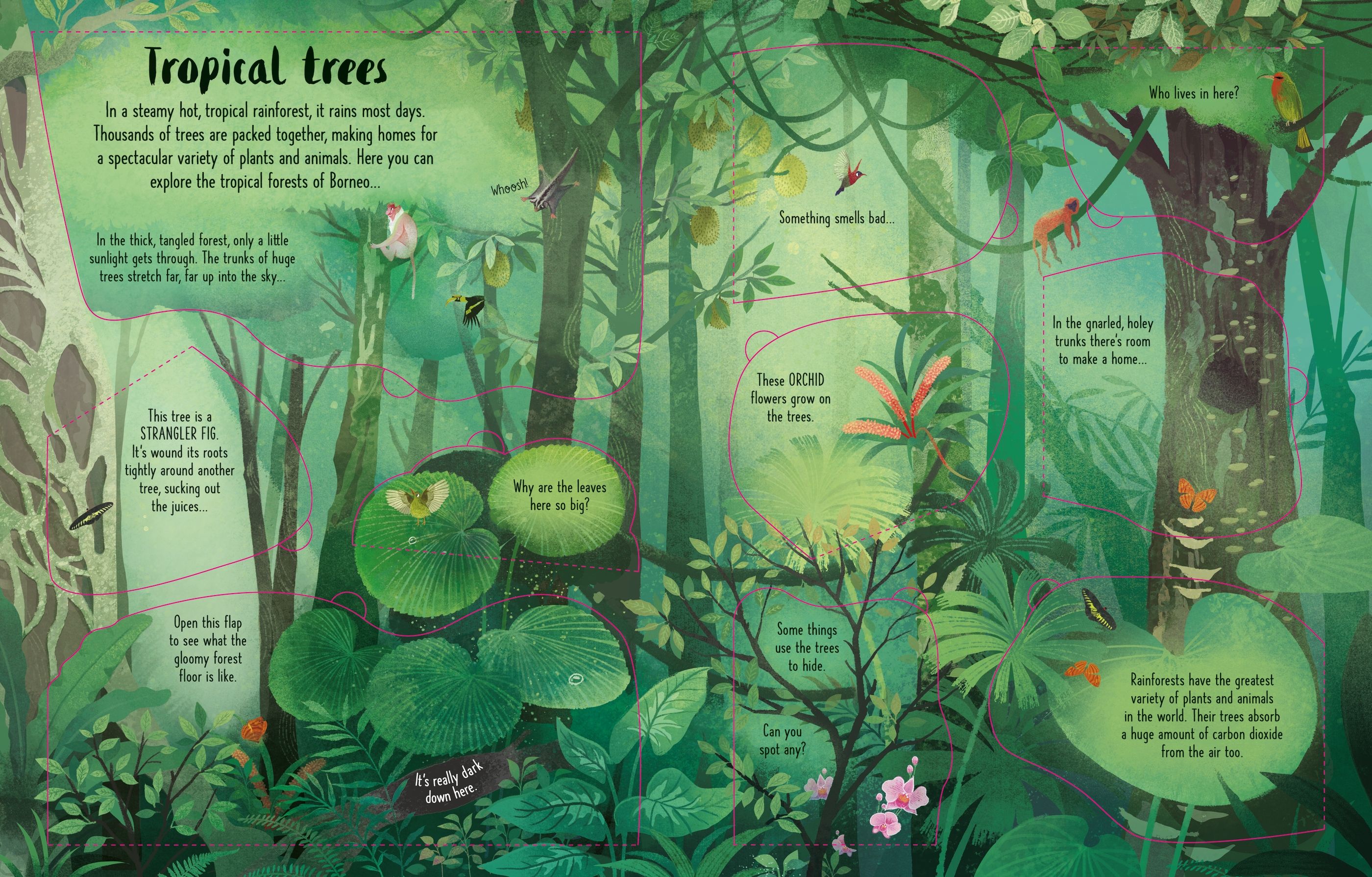 lift-the-flap trees - Ảnh 5